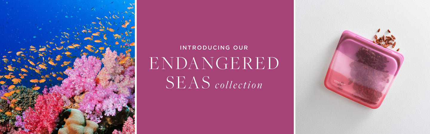 Banner_EndangeredSeas_Desktop2.jpg / EndangeredSeas_Mobile_Banner2.jpg