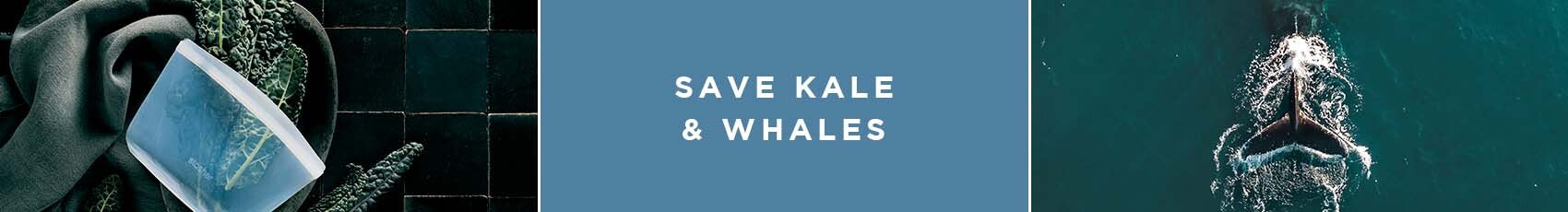 Save Kales, and Whales with Reusable Stasher Bags and Bowls.