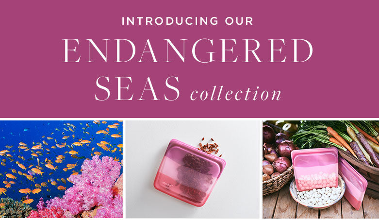 Banner_EndangeredSeas_Desktop2.jpg / EndangeredSeas_Mobile_Banner2.jpg