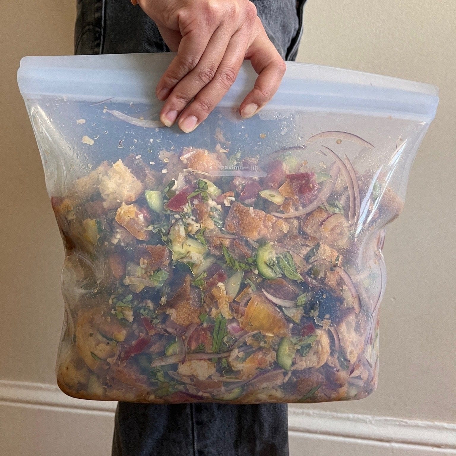 Gallon Bag