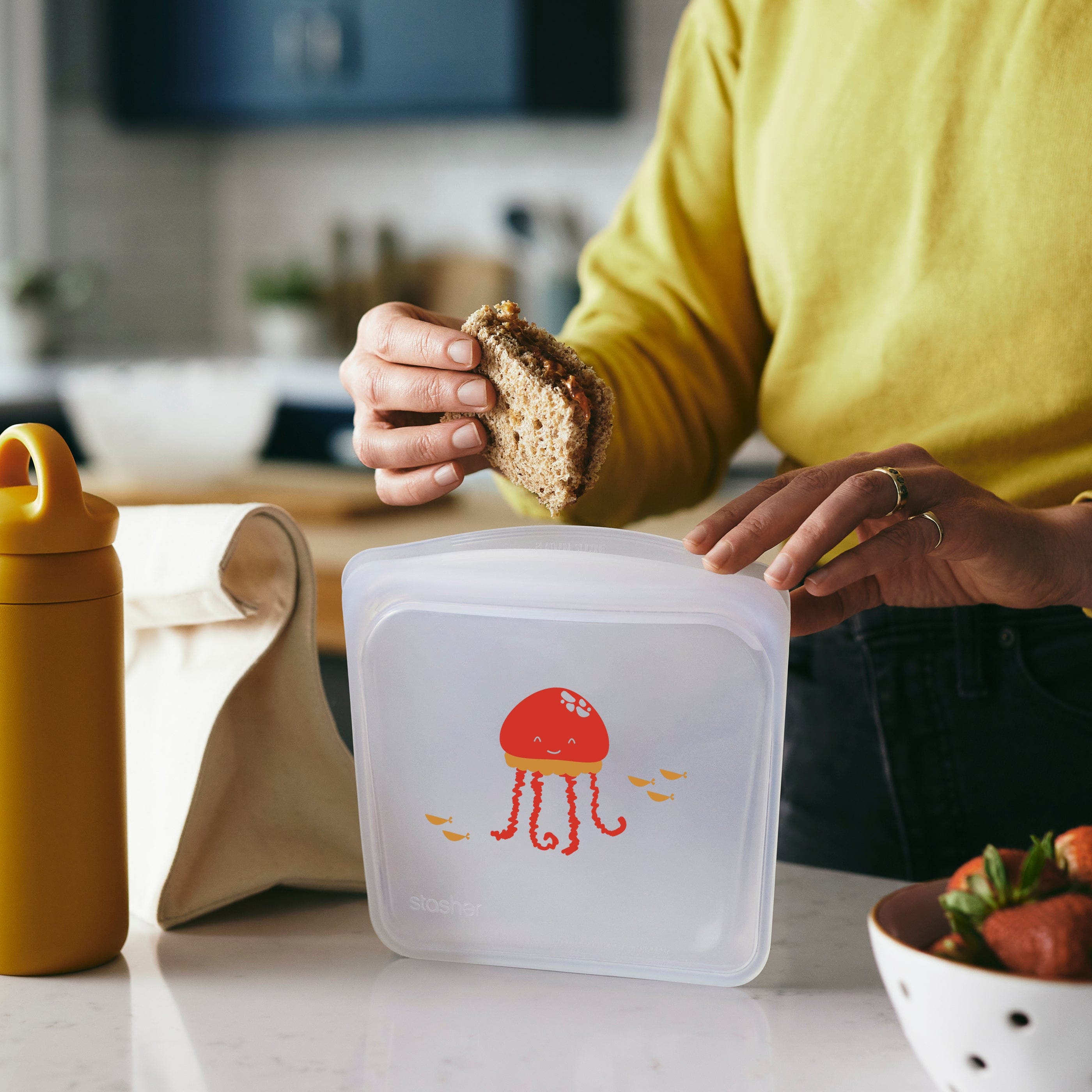 Back to School Lunch 3-Pack