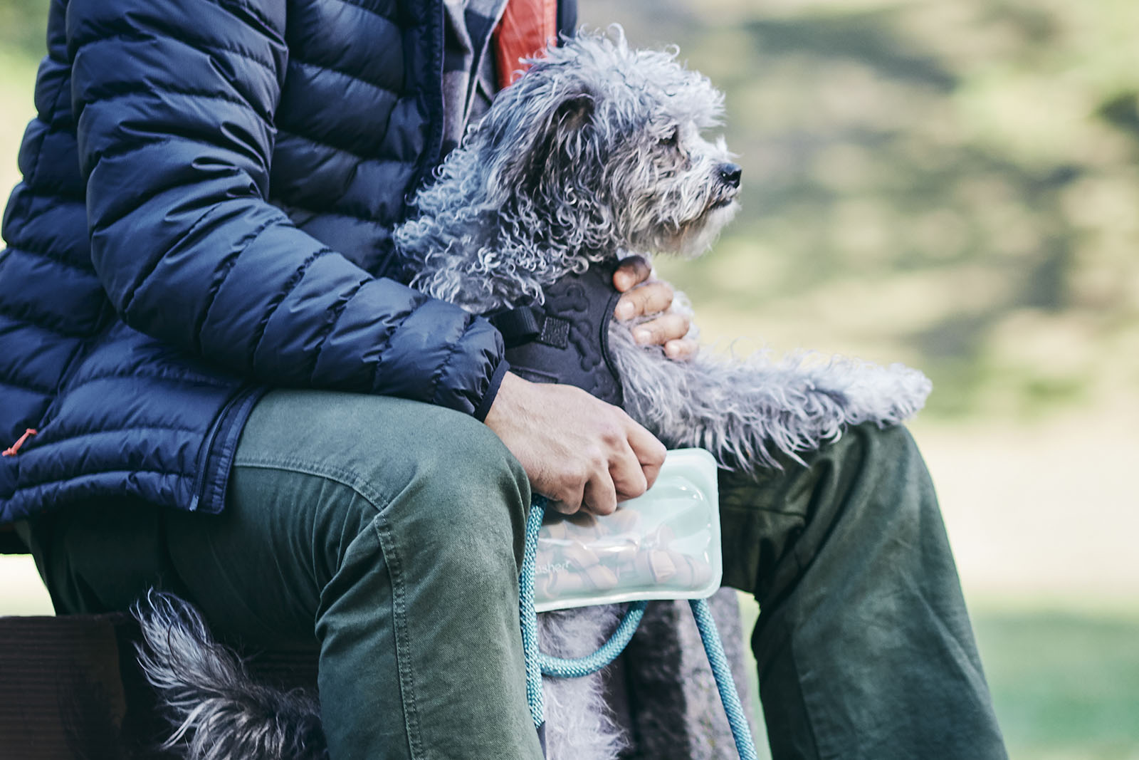 10 Reasons Pets Love Stasher
