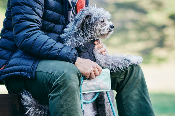 10 Reasons Pets Love Stasher