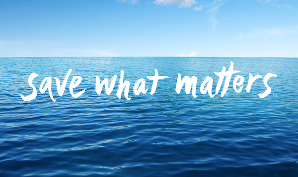 Happy Earth Month! Educate. Advocate. Celebrate.