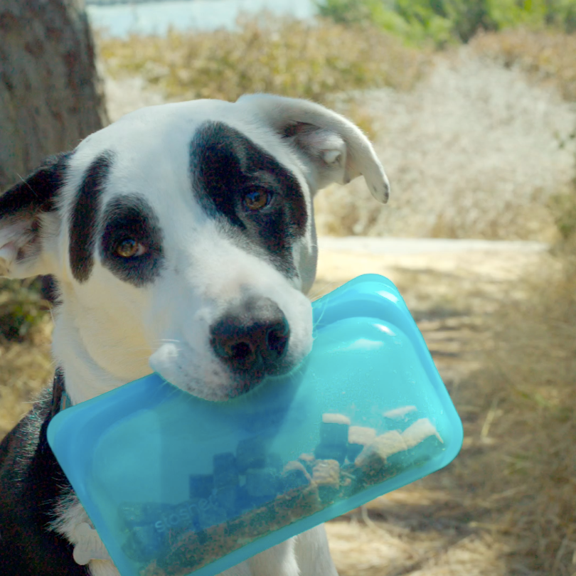stasher stores dog treats