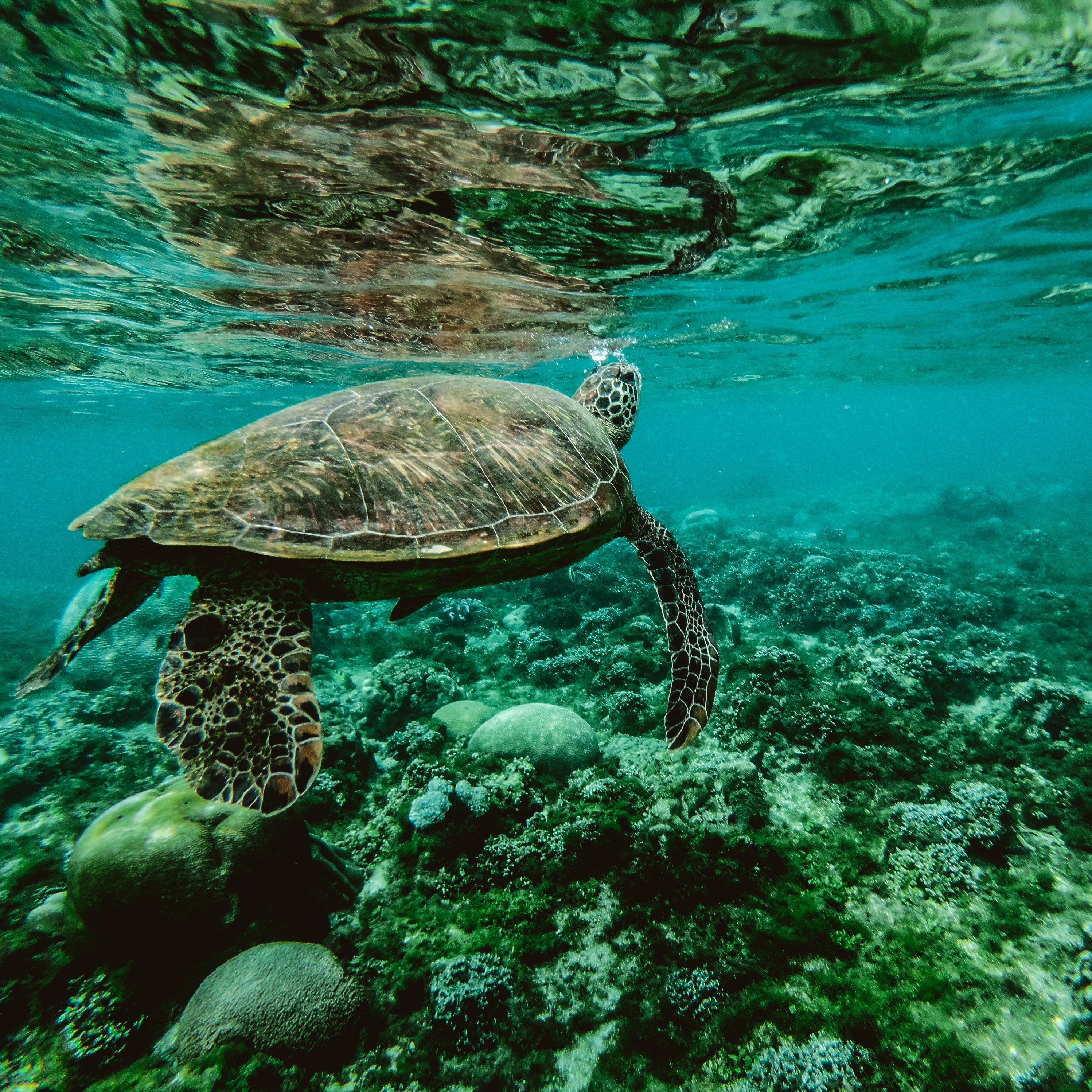 Stasher Sponsors Plastic Research Expedition with 5 Gyres
