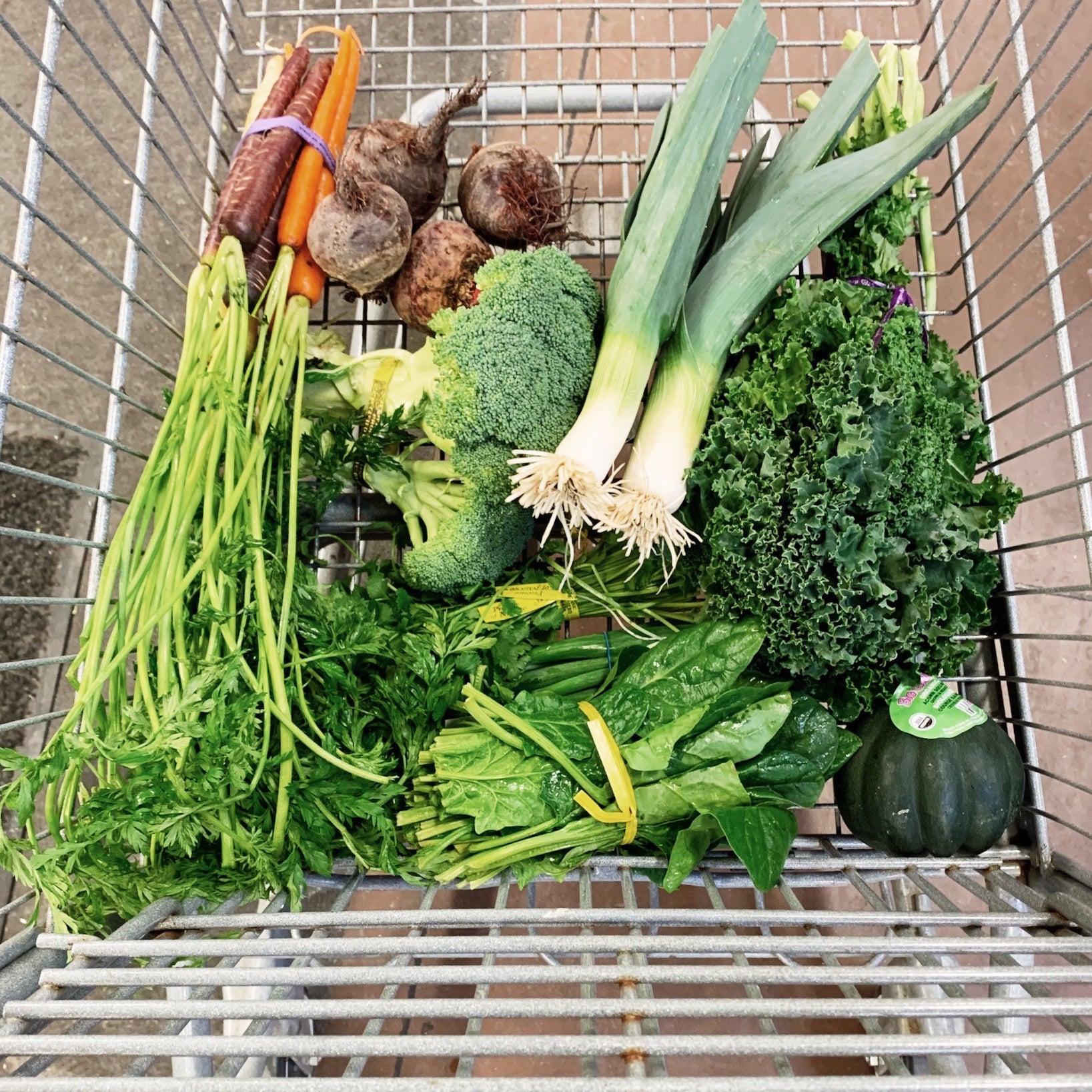 A Week in the Life of Plastic-Free
