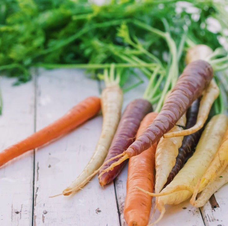 Reduce Food Waste — Eat Your Carrot Greens