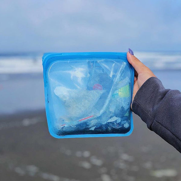 How You Can Participate in International Coastal Cleanup Day