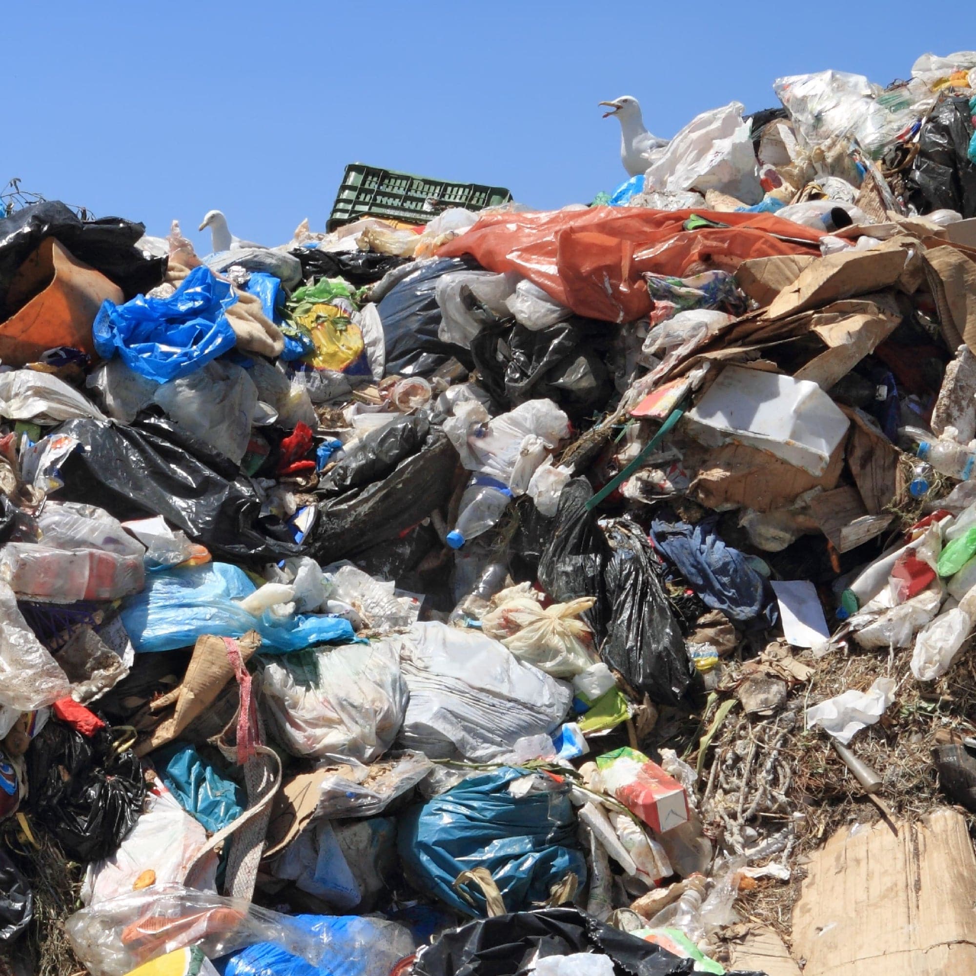 Mound of trash sitting in a landfill with lots of single-use plastics. 