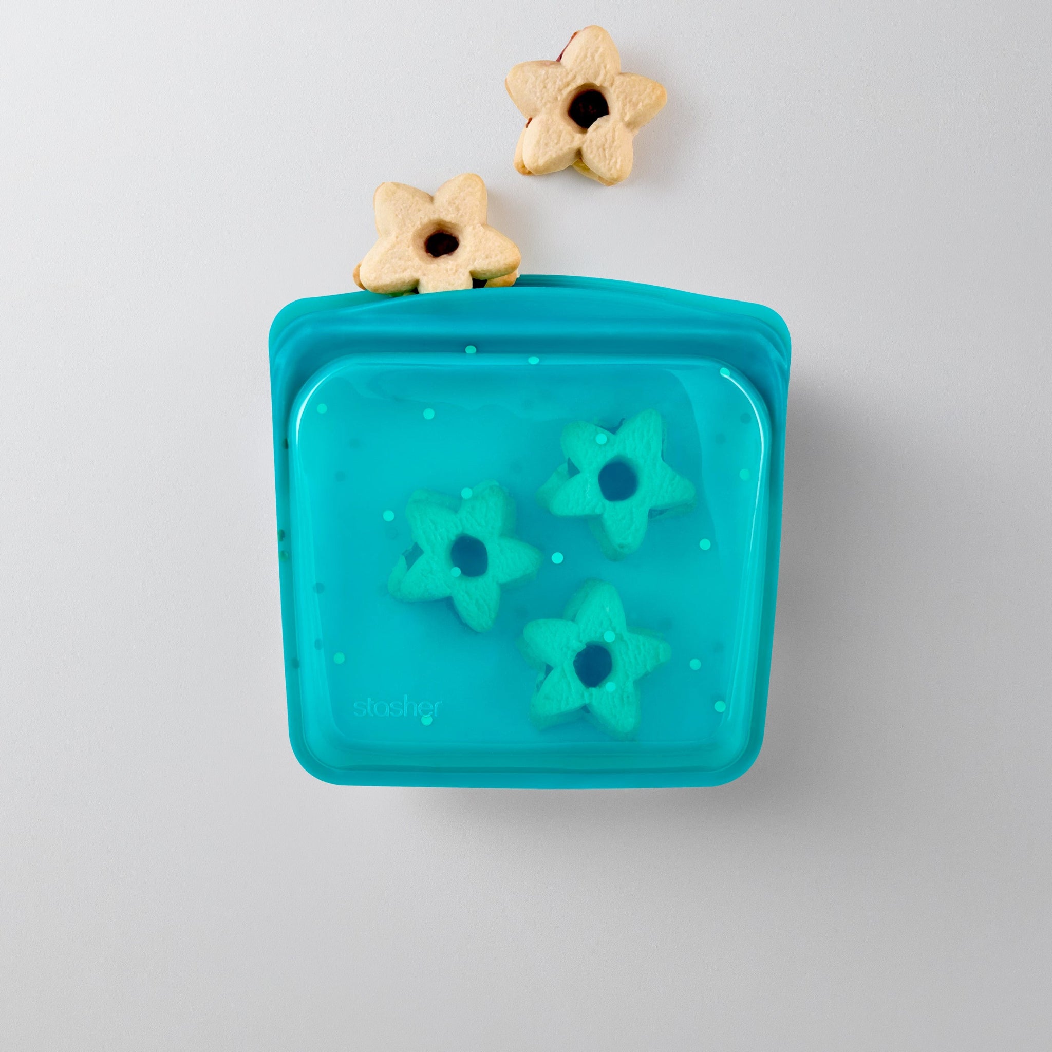 arctic dots: sandwich bag holding cookies