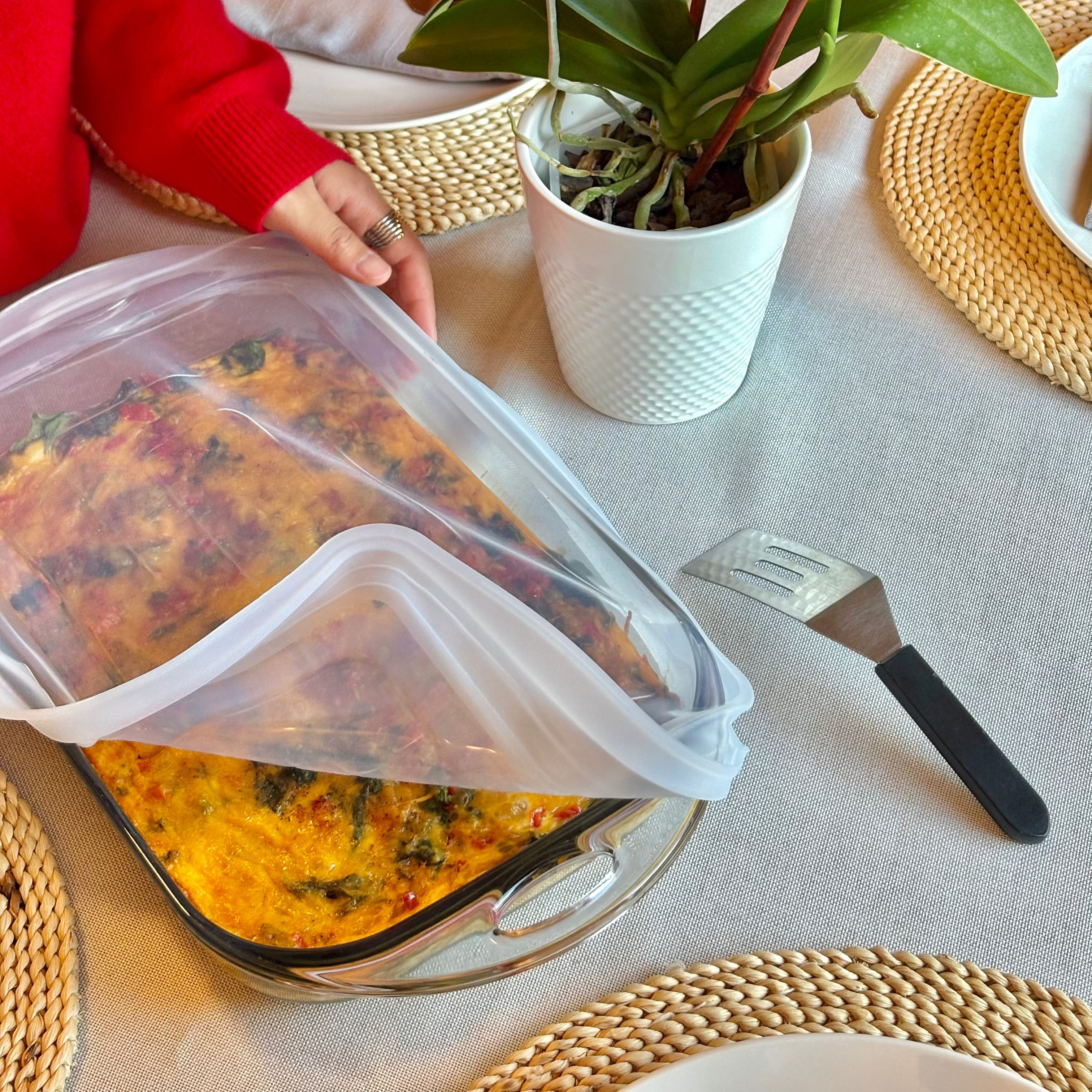 Stretch Lids Variety 6-Pack