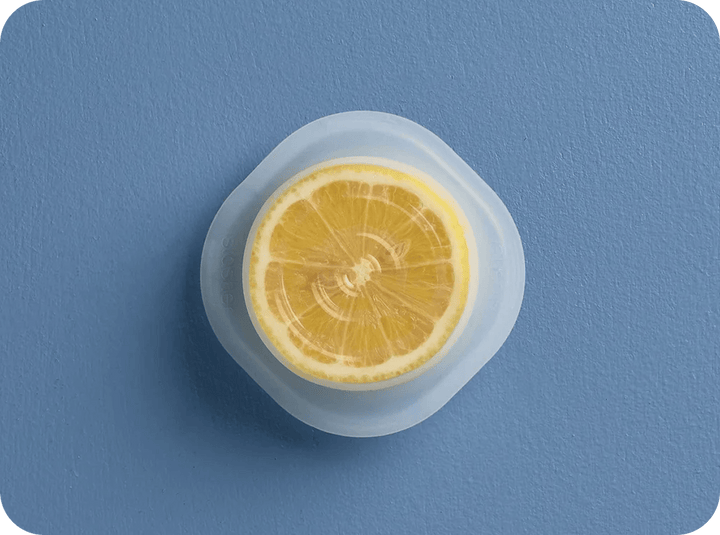 Reusable Silicone Lids Wrap | Shop Stasher Stretch Lids