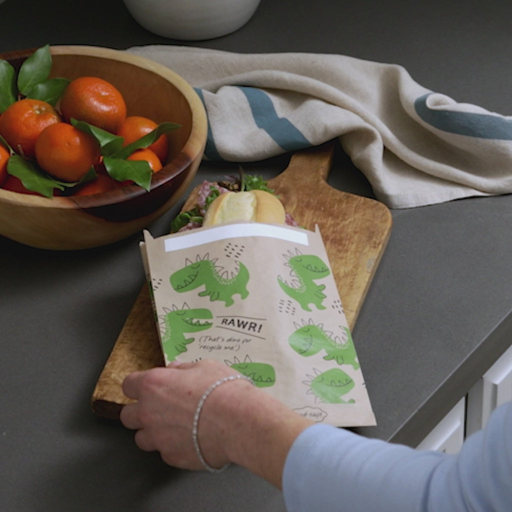 all: video showing a dinosaur printed paper sandwich bag holding a sandwich. 