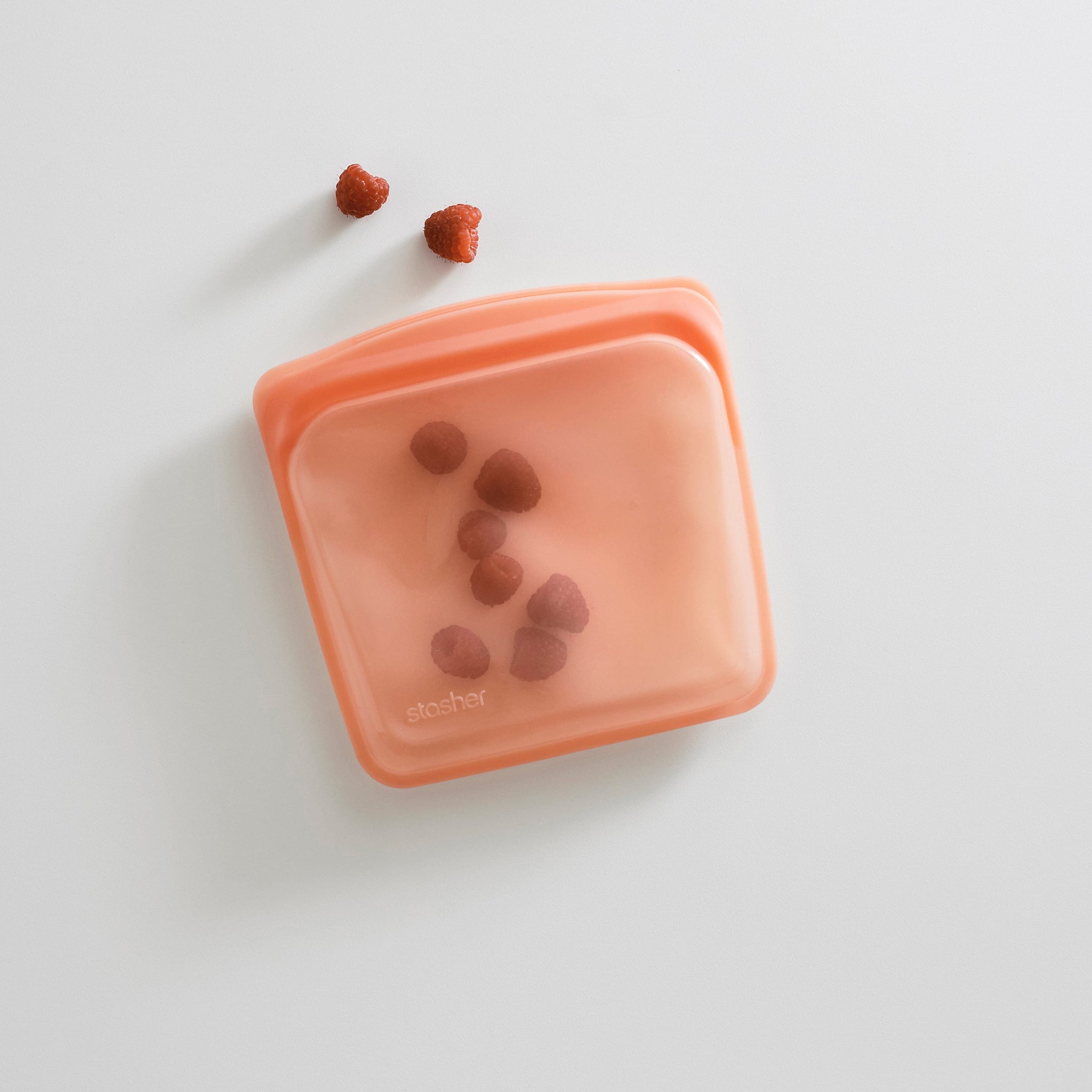 coral: sandwich hero image